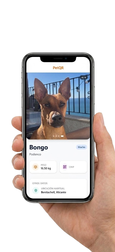 Perfil digital PetQR en un móvil