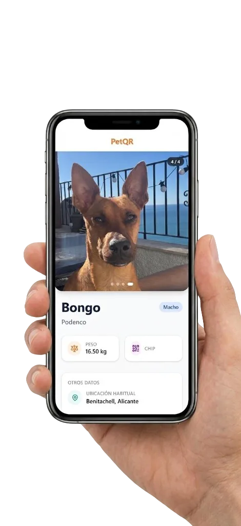 Perfil digital PetQR en un móvil
